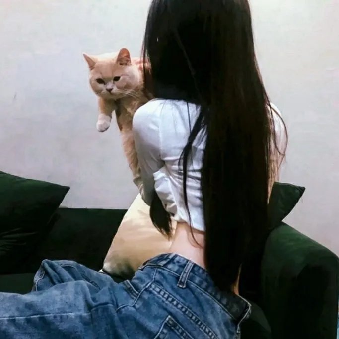 天使的信仰 在线观看封面