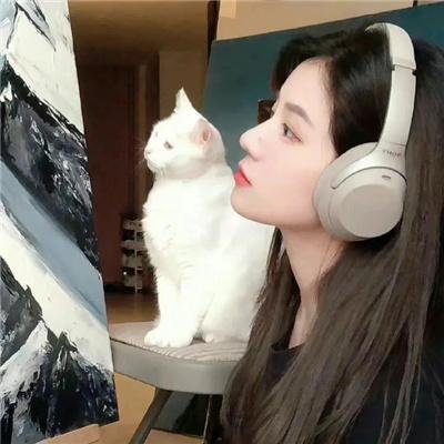 镜花缘之决战女儿国 在线观看封面